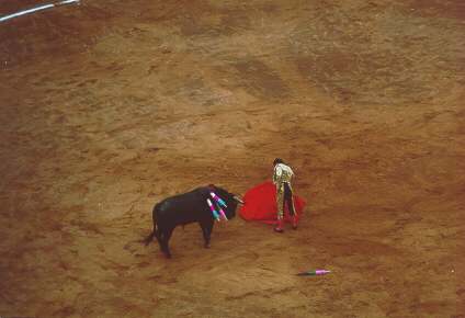 Corrida - walka z bykiem
