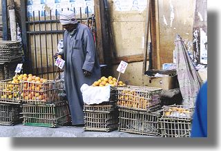 Sprzedawca cytrusw, Kair
