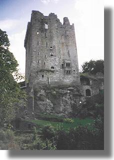 Zamek w Blarney