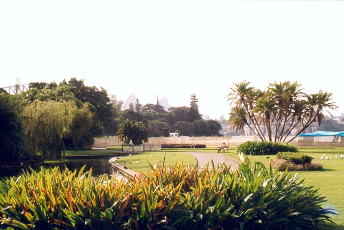 Royal Botanic Gardens w Sydney z budynkiem Opery w tle