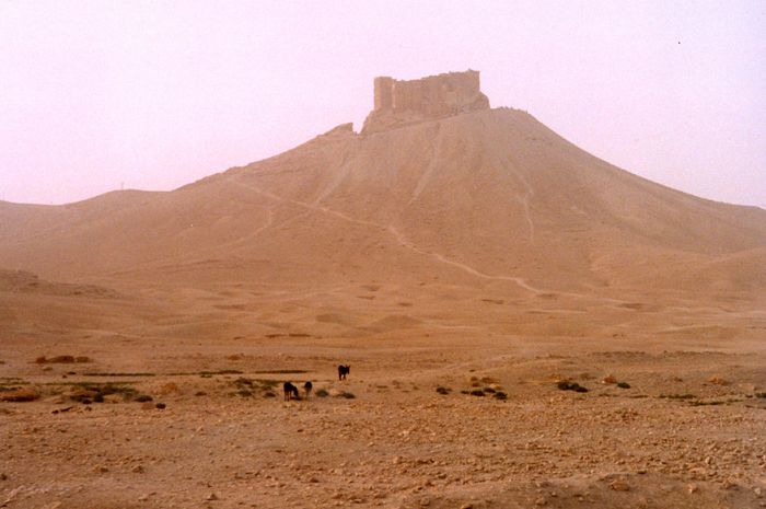 Widok na arabski zamek. Palmyra
