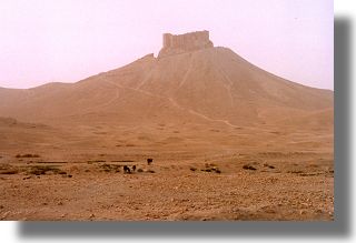 Widok na arabski zamek. Palmyra