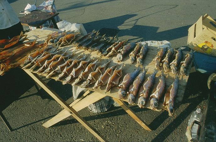Listwianka - suszone ryby