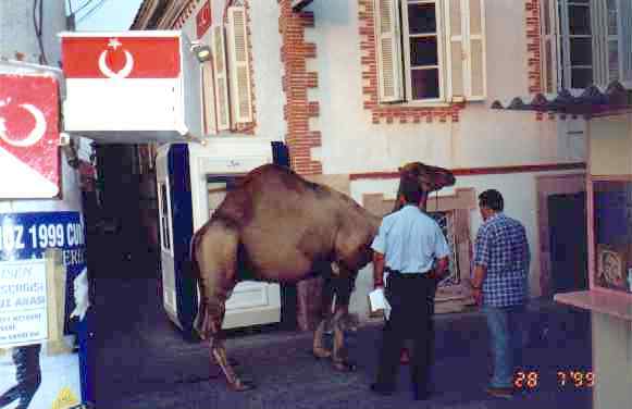 Ayvalik