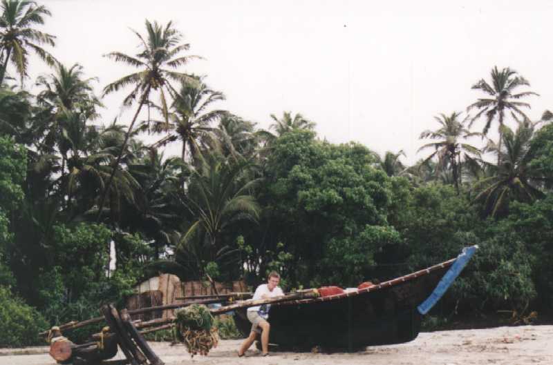 Typowy obrazek z Goa