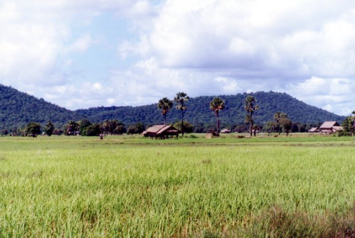 Jedna z wysp na Mekongu na po?udniu Laosu