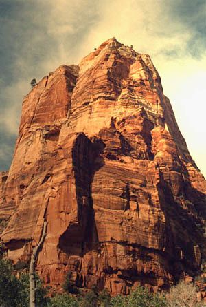 Góra w Zion National Park
