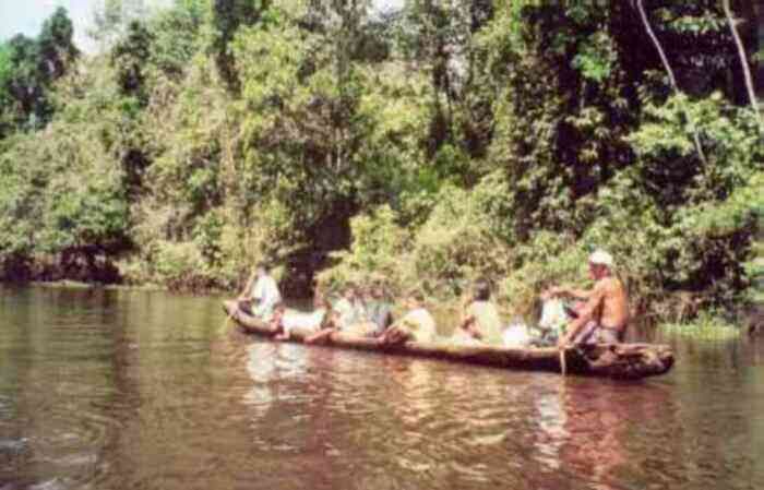 Rio Negro w Amazonii