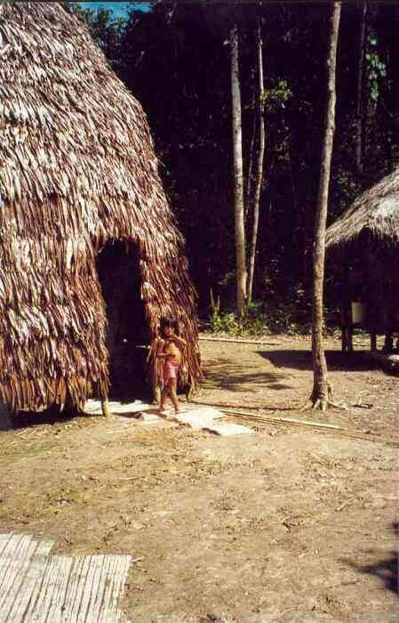 Wioska Indian w Amazonii