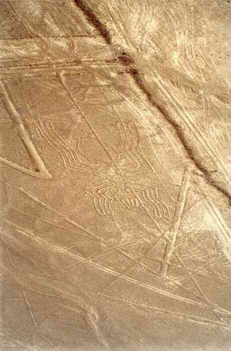 Fragmenty linii w Nazca