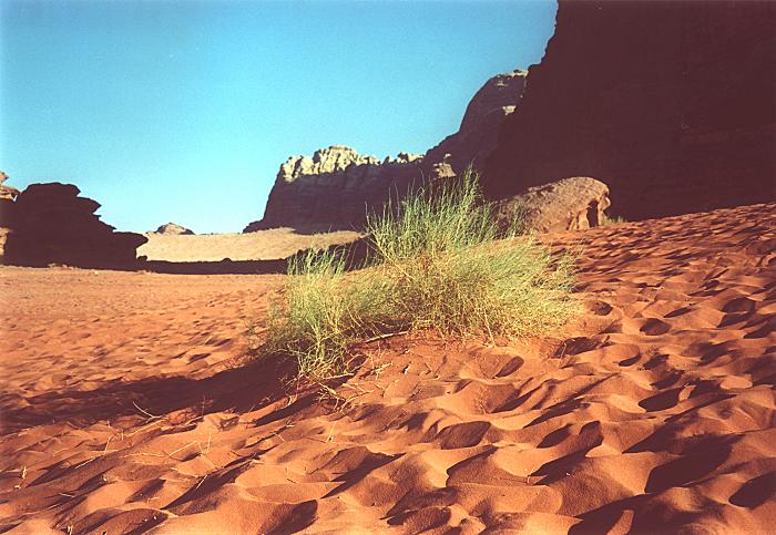 Wadi Rum - czerwone wydmy