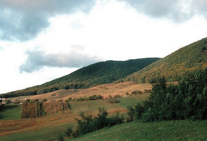 Widok na Do?y Szeklerskie