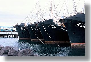 W porcie w Rejkjawiku wielorybnicze statki czekaj? gotowe na zniesienie moratorium na po?w wielorybw. Przez dwadzie?cia lat by?y bezrobotne, ale w ostatnich dniach Islandia zapowiedzia?a, ?e zamierza od?owi? kilkaset wielorybw 