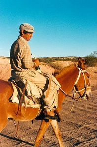 Spotkanie po drodze - miejscowy gaucho na mule