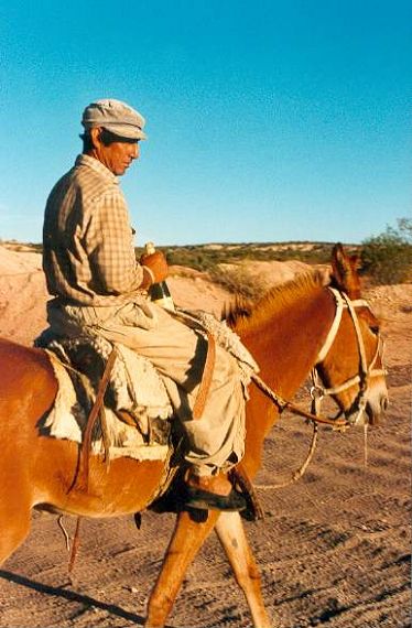 Spotkanie po drodze - miejscowy gaucho na mule