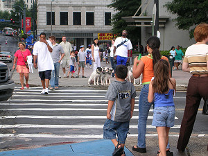 Ulica w centrum Atlanty. Psy prowadzone na smyczy nosz? s?oneczne okulary :-)
