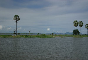 Widoki po drodze do Siem Reap